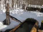 IMG_6369.JPG